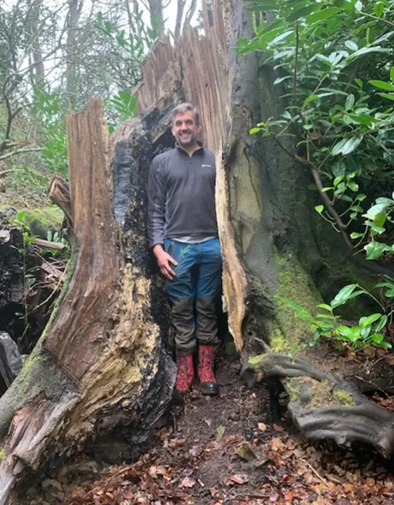 Neil Walbridge, NPTC-certified tree surgeon and owner of Walbridge Tree Care in Tunbridge Wells, Kent