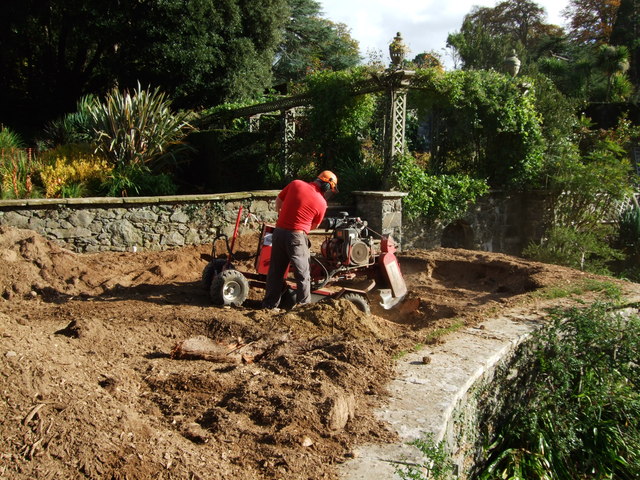 Comprehensive tree and garden care services in Wadhurst, East Sussex