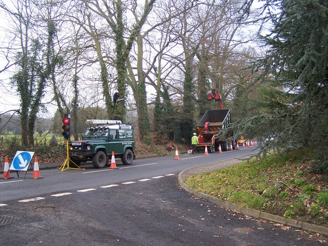 Emergency storm damage tree removal in Uckfield, East Sussex
